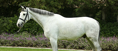Casspio