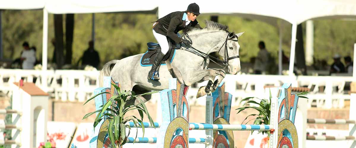 Lomelin Sport Horses