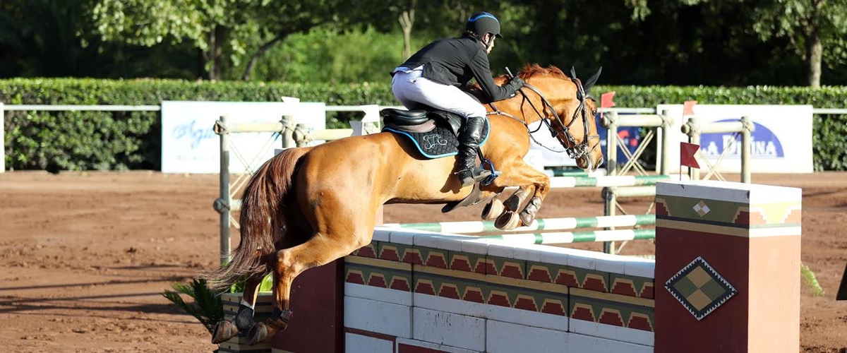 Lomelin Sport Horses