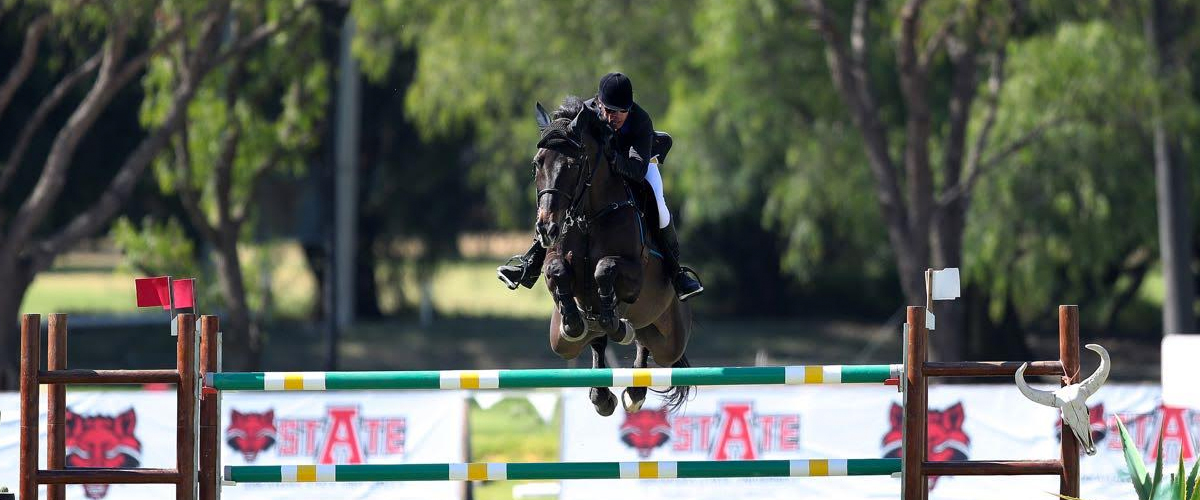 Lomelin Sport Horses