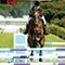 Lomelin Sport Horses video 1